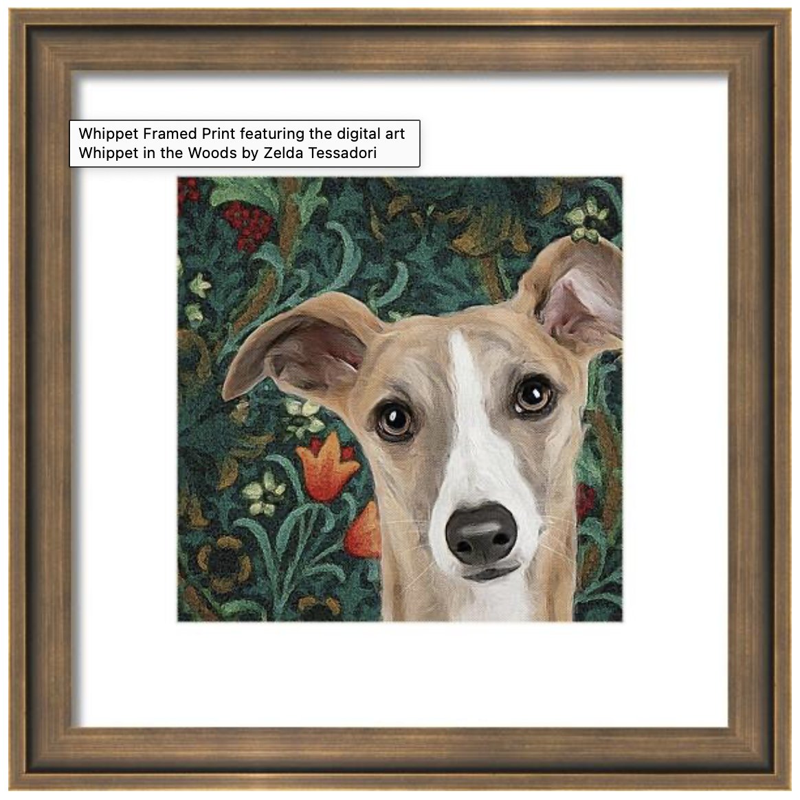 whippet in the woods framed print