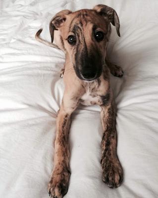 Sitting on the bed.